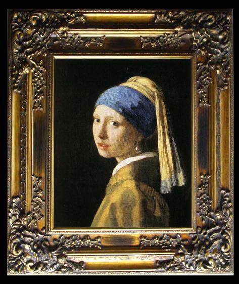 framed  Jan Vermeer Head of a Young Woman, Ta014